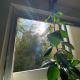 Studio calme et lumineux, parking disponible, 100m de Nation, Paris - Foto 5