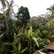 Manada Guesthouae Ubud - Photo 4