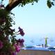 Aphrodite's Garden, Himara (zdjęcie 2)