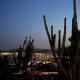 Panoramic sea view, Saint-Peïre-sur-Mer (photo 8)