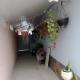 Casa para temporada - Campos do Jordão, Campos do Jordão - Foto 4