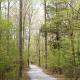Juneberry Ridge, Norwood (fotografie 6)