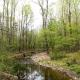 Juneberry Ridge, Norwood (fotografie 7)