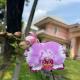 Flower House Villa, Bogor (zdjęcie 10)