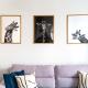 Apartament La Lemur, Nowy Sącz (fotografie 2)