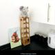 Peaceful flat in Central London, Londýn - Fotografie 6