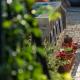 ROSA XVI - Garden Guest House, Vilar Torpim (foto 8)