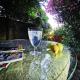 ROSA XVI - Garden Guest House, Vilar Torpim (foto 7)