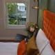 The IF Boutique hotel, Amsterdam (foto 10)