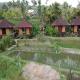Puri Sunny Camp, Munduk (fotografie 2)