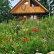 Blockhaus PanHütte, Braunlage - Foto 1