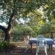 Lo Chalet di Ingrid, Casal Velino (Foto 5)