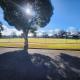 Blue House on Murray River, Cobram (fotografie 4)