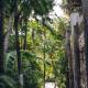 Uman Glamping & Cenote Tulum - Foto 4