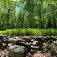 Historic Sears River Home (Main Level) on 10 Acres, Tamaqua (fotografie 5)