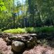Historic Sears River Home (Main Level) on 10 Acres, Tamaqua (fotografie 8)