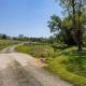 Farm living at it's best!, Pratts (Foto 7)