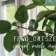 FEWO_ORTSZEIT, Haintchen - 照片 1