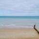 Duneside, Sea Palling (fotografie 9)