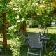 Coach House - Uk33307, Mellis (fotografie 4)