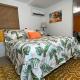 Sleeps 3, Casa Tropical in Miami - Fotografie 8