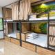 Tam Coc Guest House & Hostel, Ninh Binh - Fotografie 1