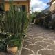 I due ulivi, Arzano (photo 9)