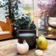 Large Quiet Charming Rooms in House near Historic Gent Centre, Gent (Foto 4)