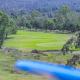 Milimani Apartment Nakuru Comfy Homestays, ナクル - 写真 7