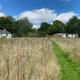 Orchard Cottage - Kent, Lyminge (foto 3)