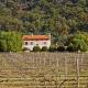Talits Estate Vineyard, Broke (foto 3)