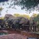 Bateleur Lodge, Mabalingwe, Bela-Bela