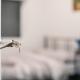 Modern Share house, private room with single bed, 4km to beach, Oaklands (fotografie 10)