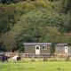 Shepherds Huts Tansy & Ethel in rural Sussex, Arundel