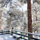 056 - Beaumont Hideaway - Meredith Lodging Big Bear City - Foto 3
