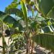 Refugio de Santiago Ecolodge, ルナウアナ - 写真 4