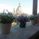 Navona 49 Luxury Suites&Apartment, Roma - Foto 4