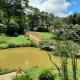 Pousada dos Olivais, Pousada dos Olivais - 写真 9