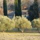 Domaine du Moulin de Cors, La Roque-sur-Cèze - Fotografie 5
