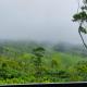 Winter Woods, Vagamon - Foto 8