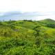 Winter Woods, Vagamon - Foto 7