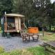 Shepherds Hut at The Retreat Oswestry - Fotografie 2