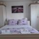 Apartment Aqua Royal, Arandjelovac (foto 9)