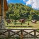 Camping & Apartmens Scepanovic, Mojkovac