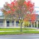 Pet friendly home in Albury, Lavington (fotografie 4)