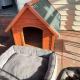 Pet friendly home in Albury, Lavington (fotografie 10)