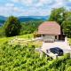 Zerko Holiday Home - Vineyard Chalet With Sauna and Jacuzzi FREE, Mirna (fotografie 2)
