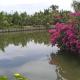 Lakeview Villa Homestay, Hội An - Photo 7
