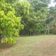 3-Bed House Sleeps 6 with Mountain Views, Ocho Rios (foto 2)