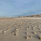 Au gré du vent, Wimereux (foto 9)